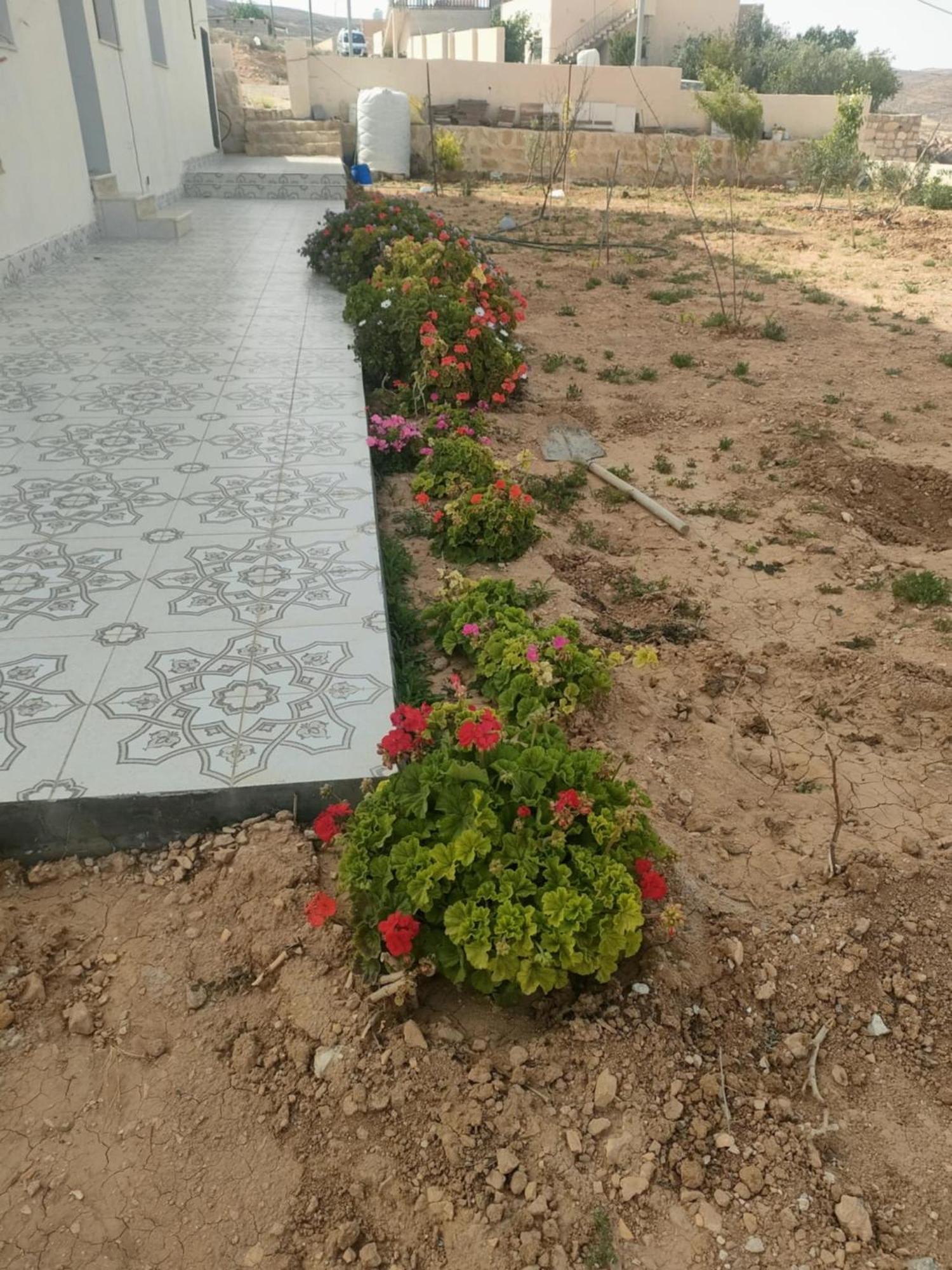 Darkum Apartment وادي موسى المظهر الخارجي الصورة